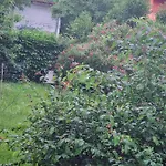 Silva Apartmán Gorizia