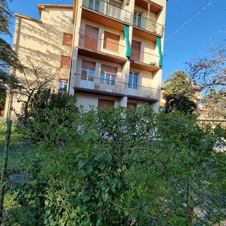 Silva Gorizia