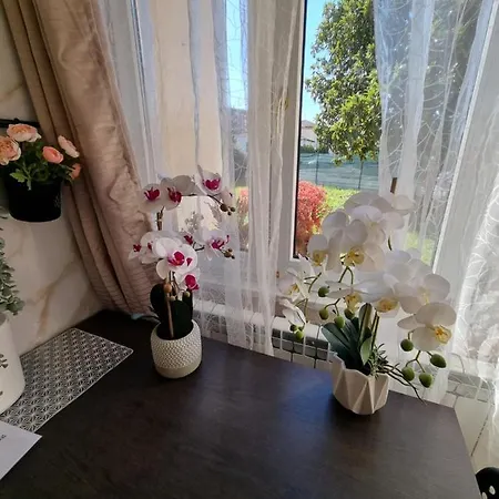 Silva Apartmán Gorizia