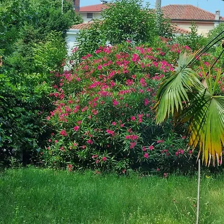 Silva Апартаменты