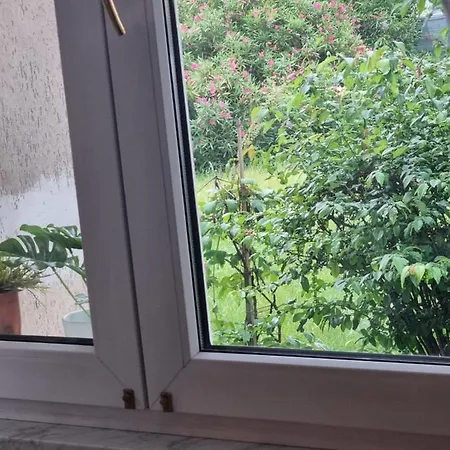 Апартаменты Silva Гориция