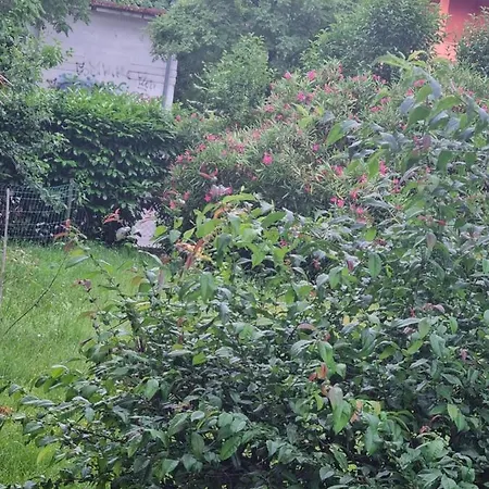 Silva Apartment Gorizia