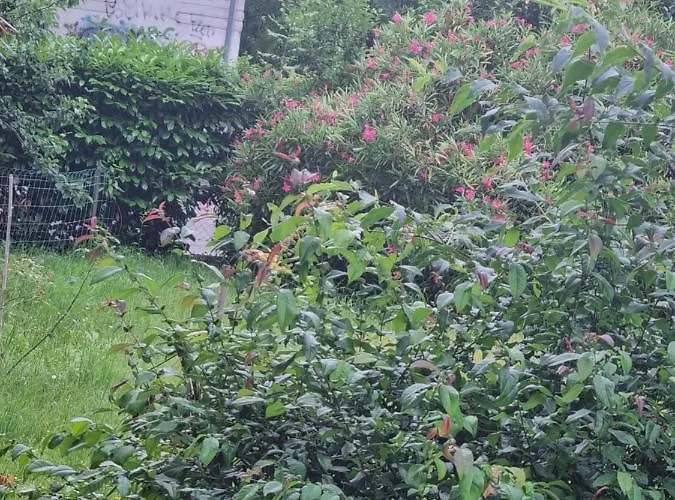 Silva Apartment Gorizia